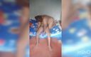 Indian desi sex fucking his new Bhabhi sex leaked video