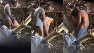 Desi Porn Video of young lovers fucking in the jungle